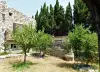 Grand terrain de la vente de notre maison d'hôte - gîte à vendre avec piscine à Perpignan (11).webp